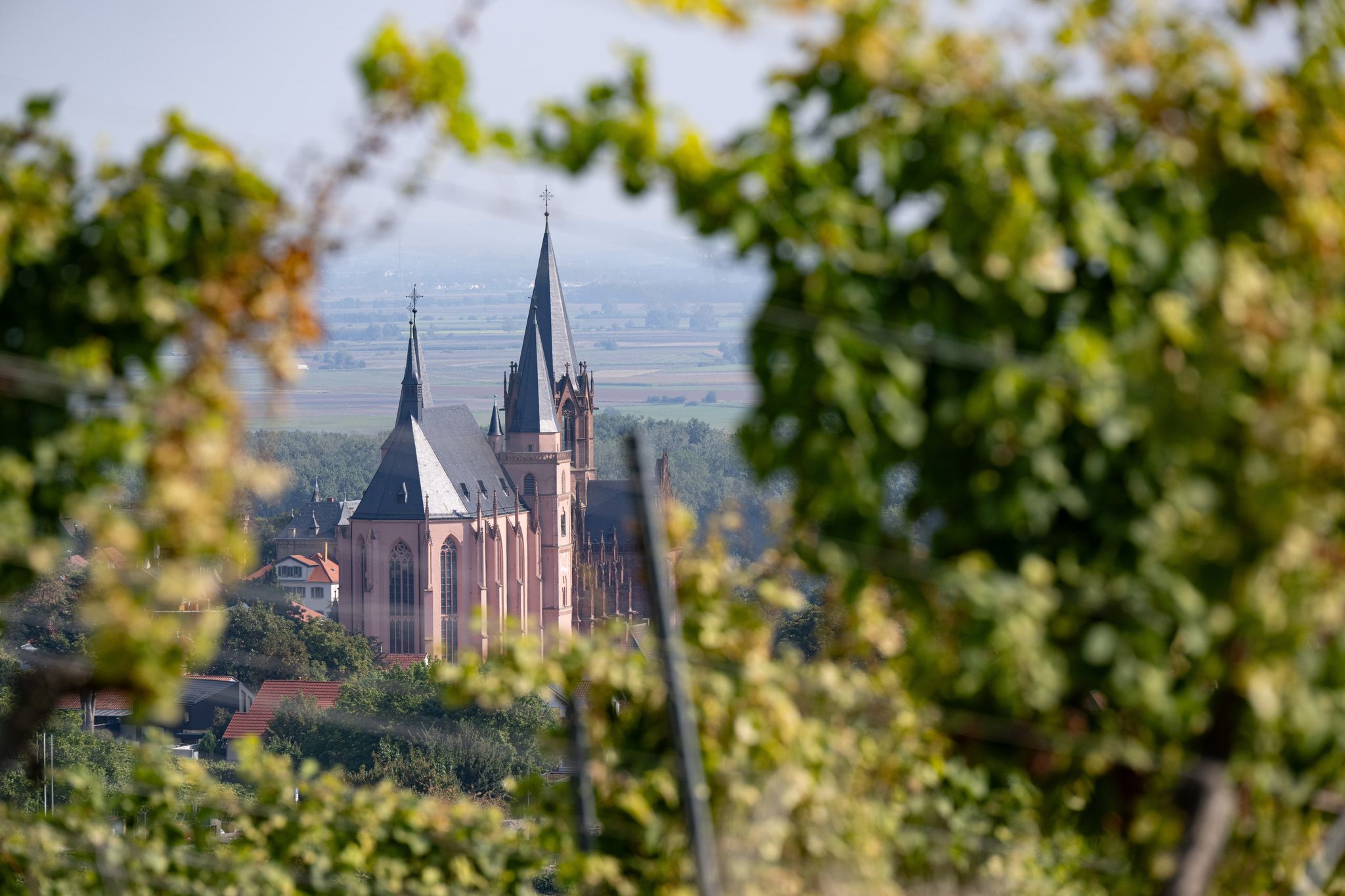 Mit rund 118.000 gesicherten Vollzeitstellen gilt der Tourismus als einer der wichtigsten Wirtschaftszweige von Rheinland-Pfalz. (Archivbild)