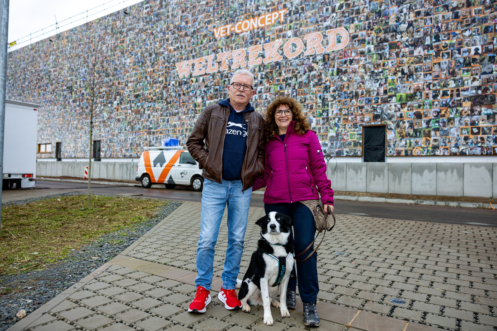 Australian-Shepherd-Mix Lenny ist eines der 8.000 Tiere.