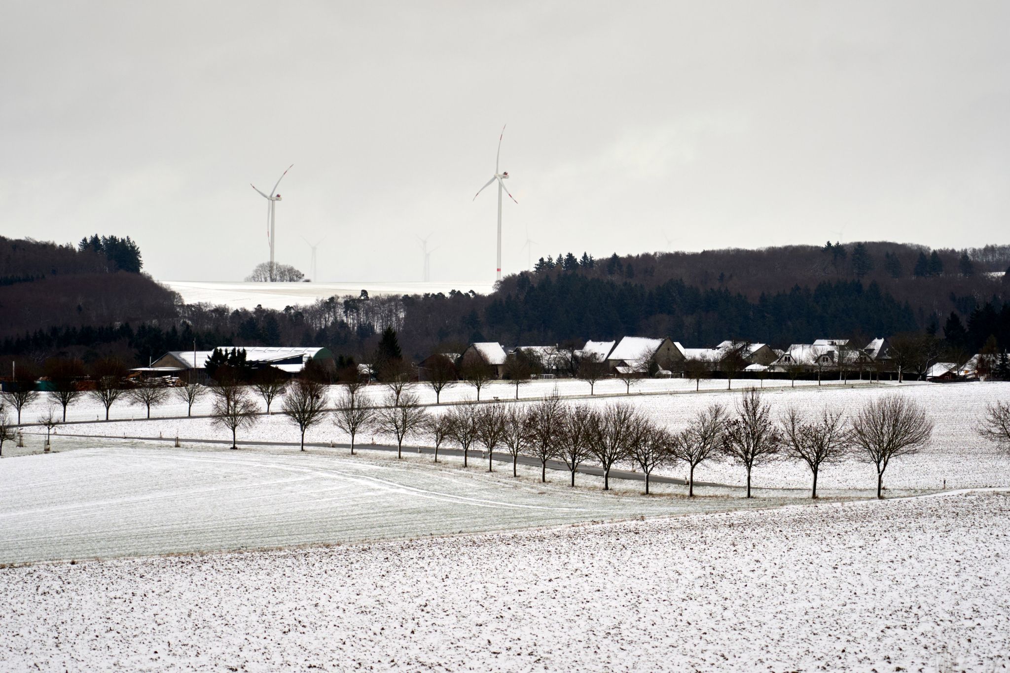 Der Hunsrück ist insbesondere bei Schnee für Wanderungen geeignet.