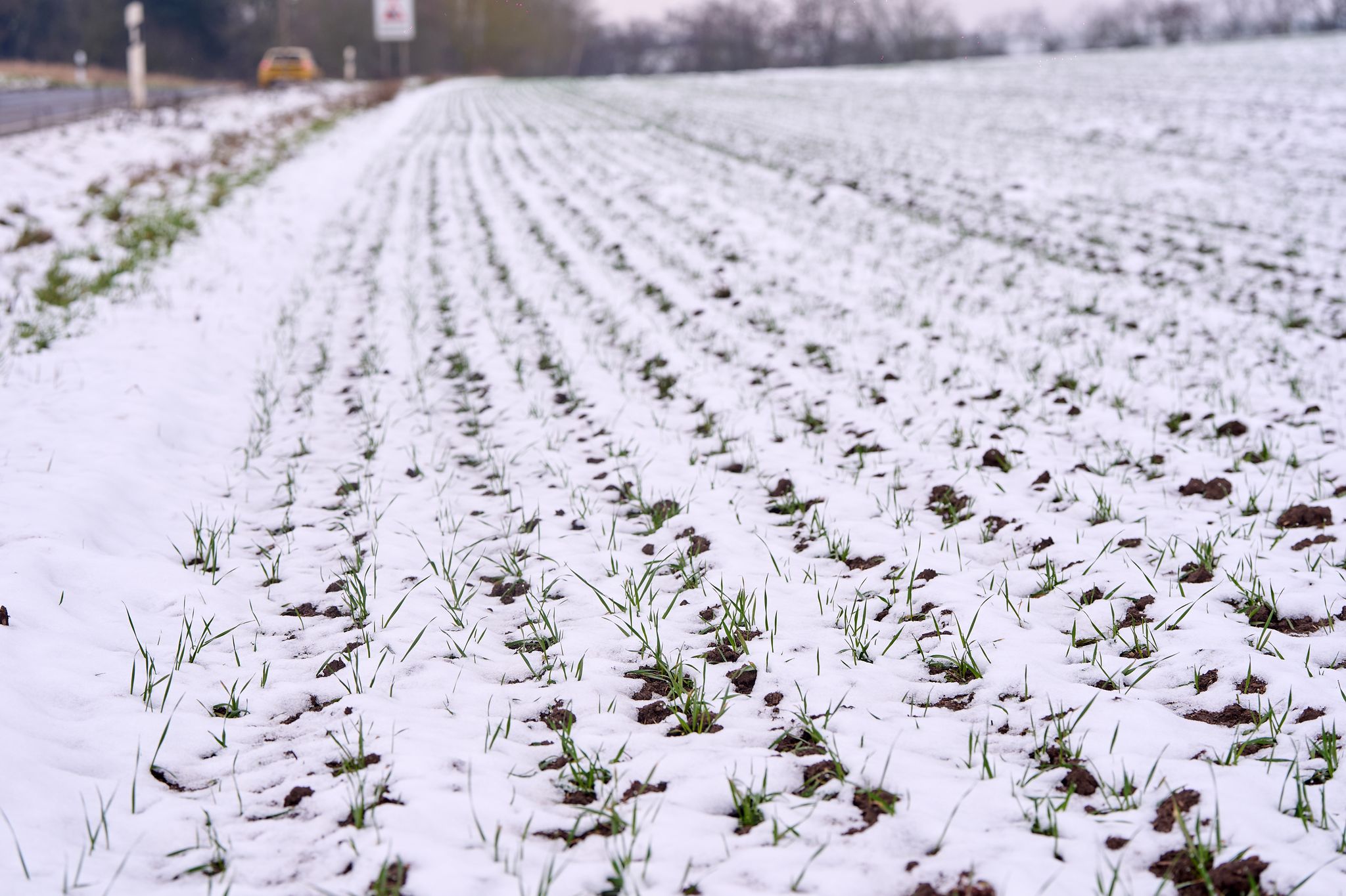 Die rheinland-pfälzischen Landwirte wagen positive Töne.