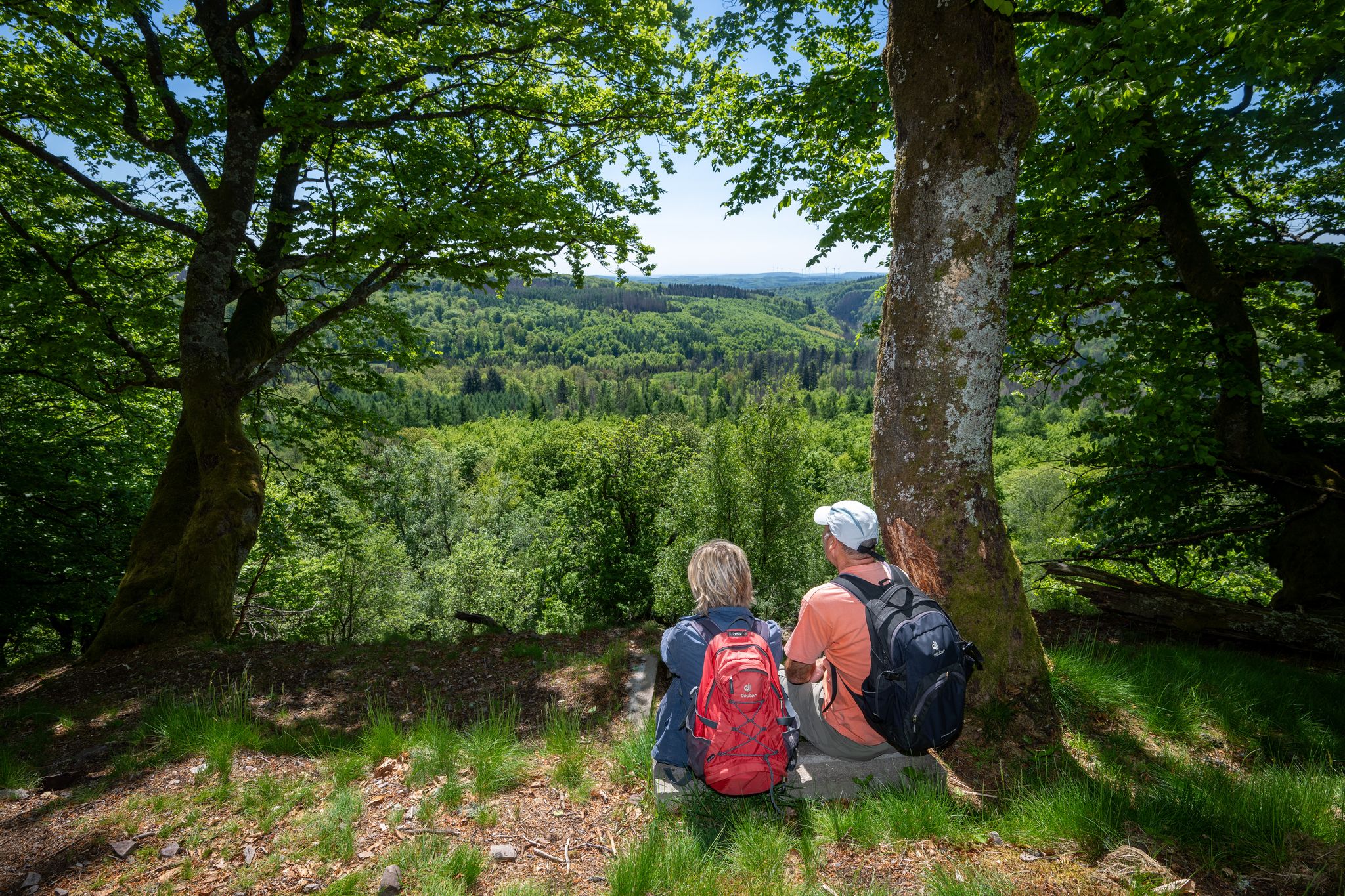 Wandern und Wissensvermittlung - das ist das Konzept geführter Touren. (Archivbild)