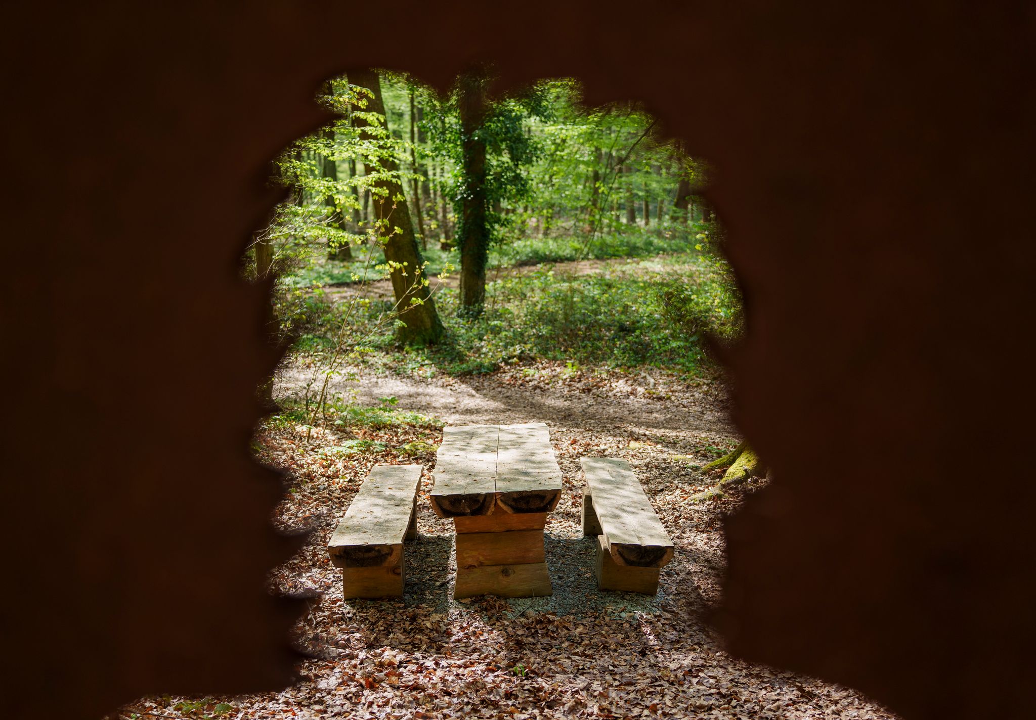 Beim Aufenthalt im Wald gilt für Wanderer, Jogger und Biker auch Eigenverantwortung. 