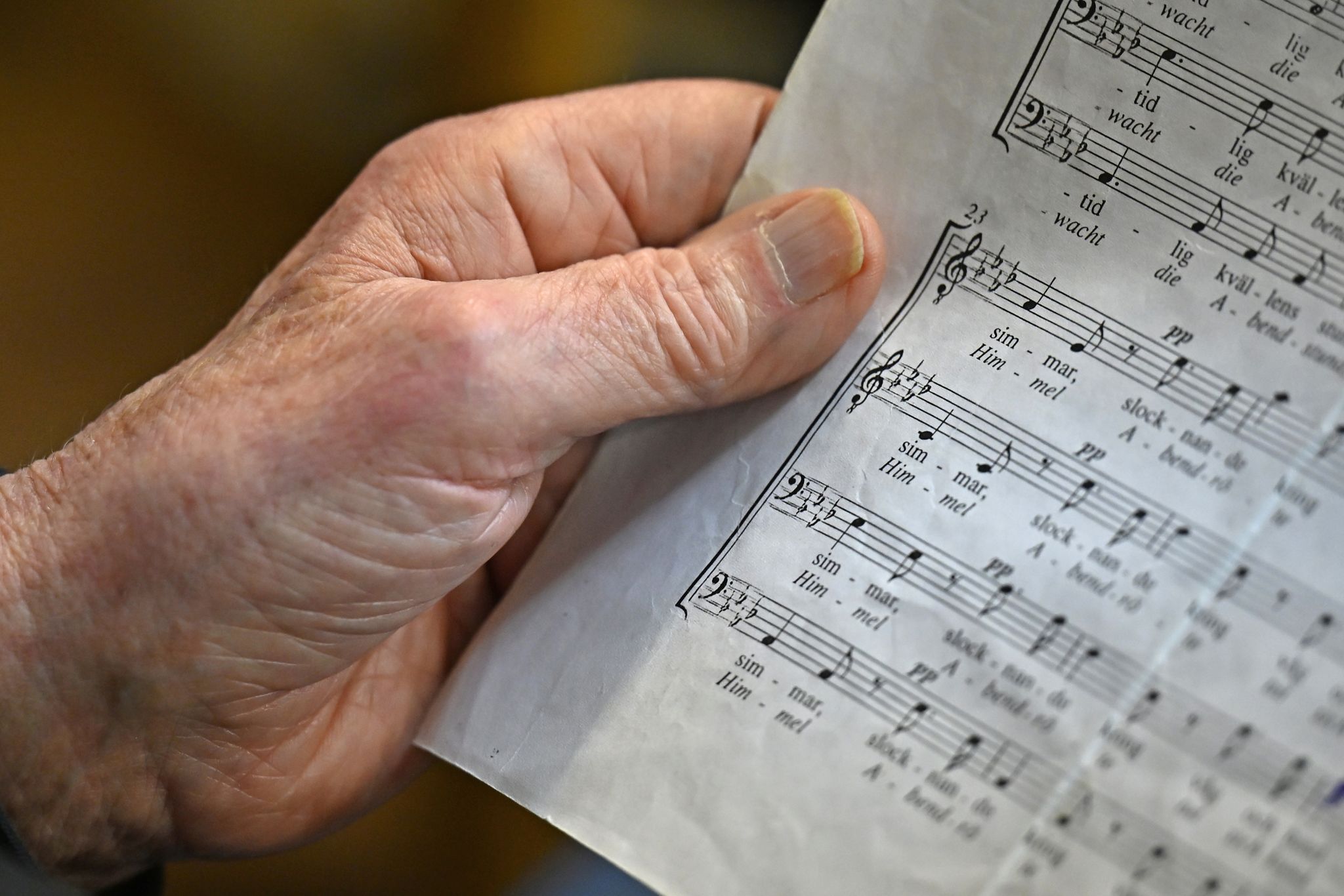 Der Chorverband Rheinland-Pfalz hat rund 60.000 Mitglieder. (Archivbild)