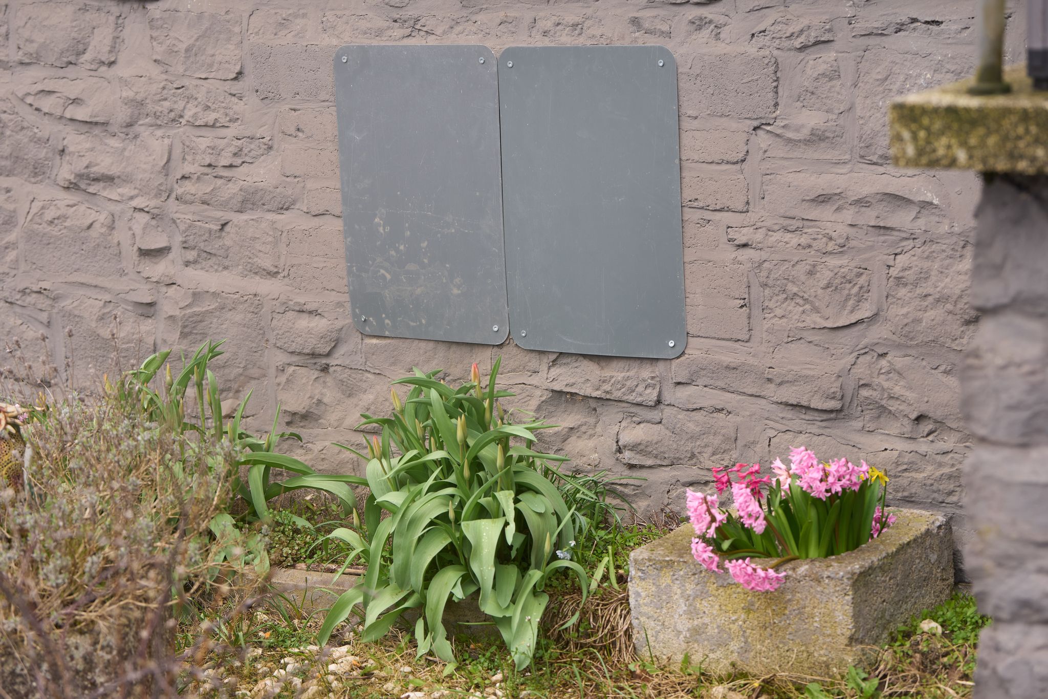 Ein paar Blumen blühen im Vorgarten, auch wenn das Haus leersteht. 