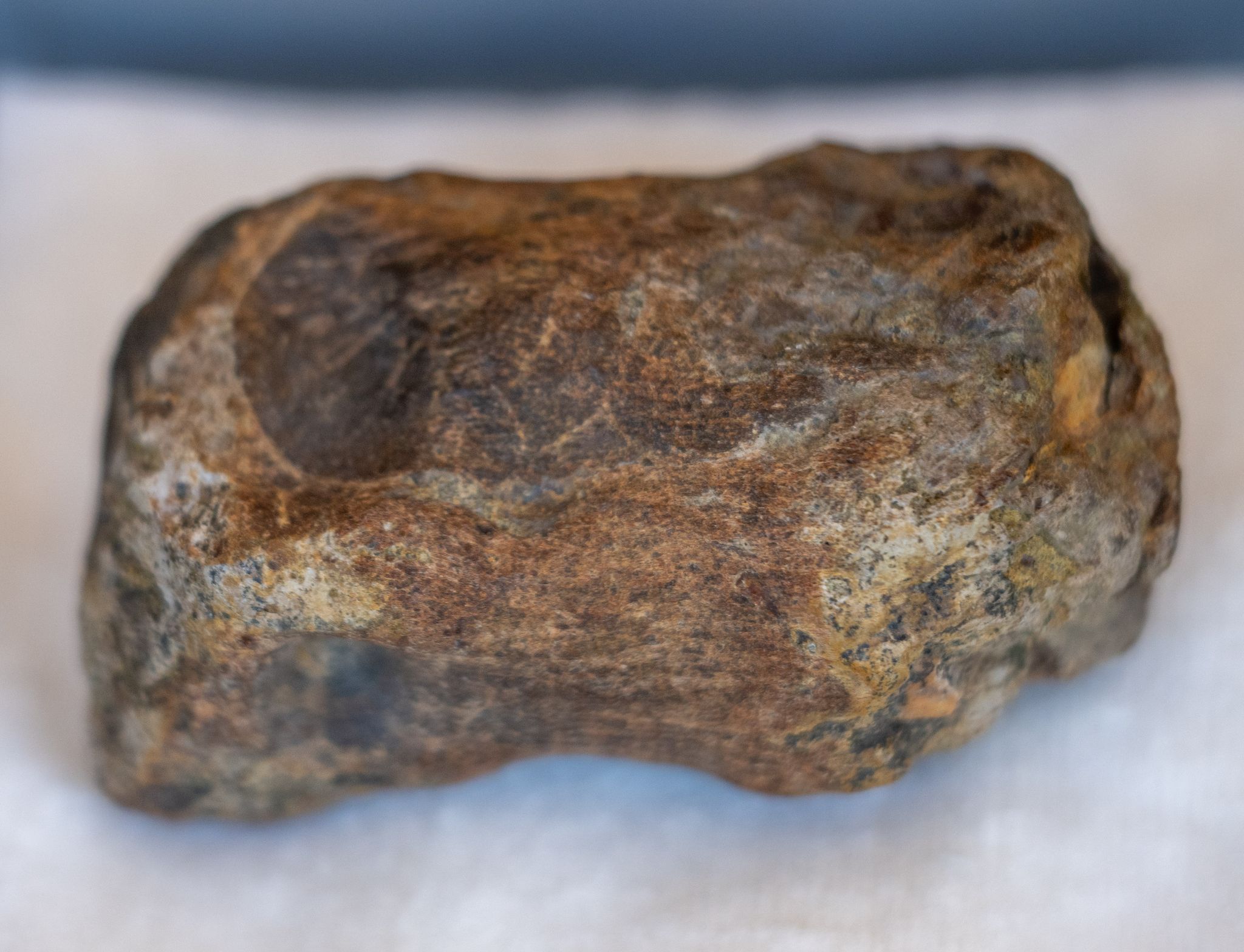 Die Funde sind rund 203 Millionen Jahre alt