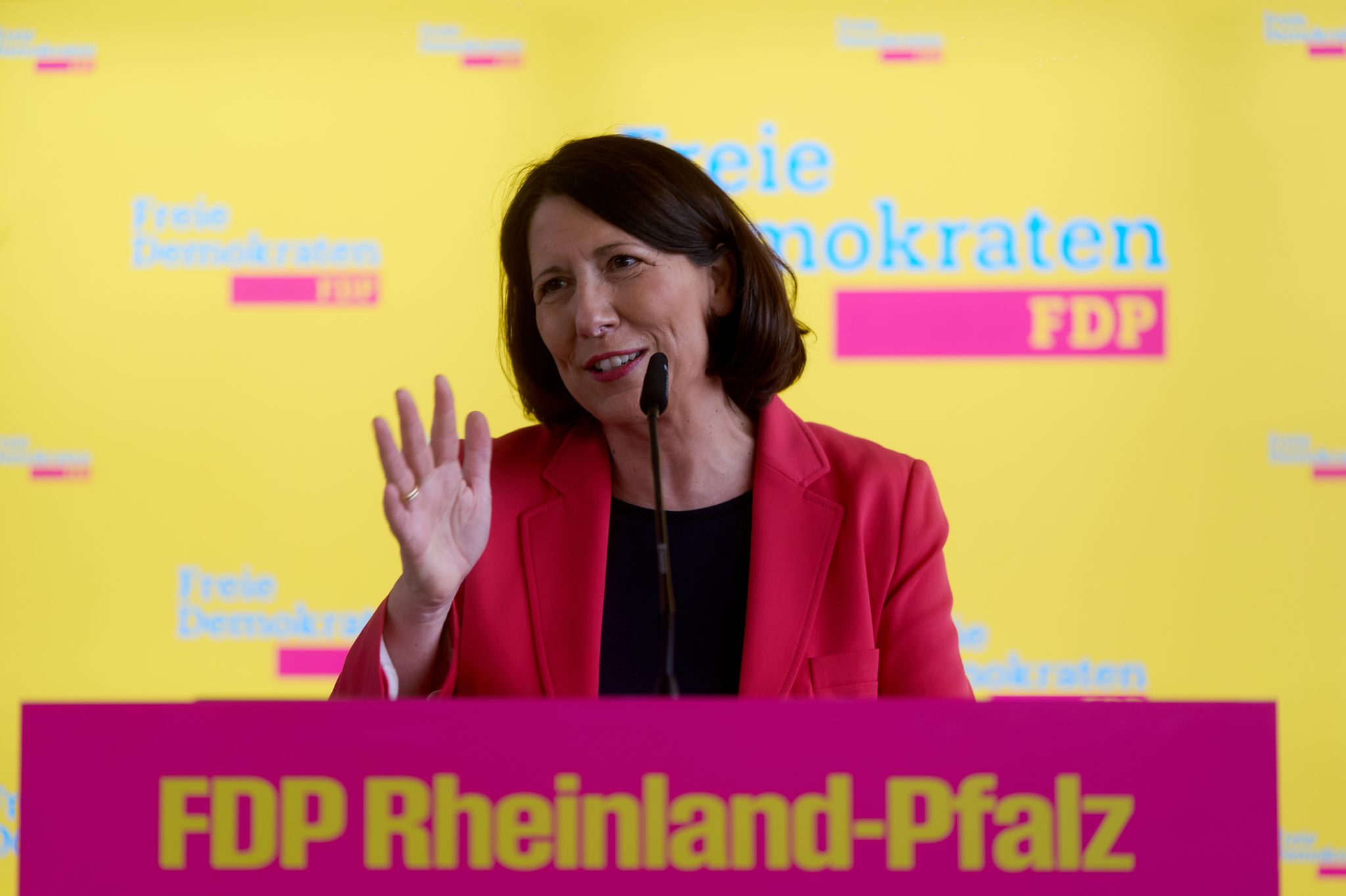 Die bisherige Landesvorsitzende Daniela Schmitt hatte nach der Landtagswahl angekündigt, den Parteivorsitz abzugeben.