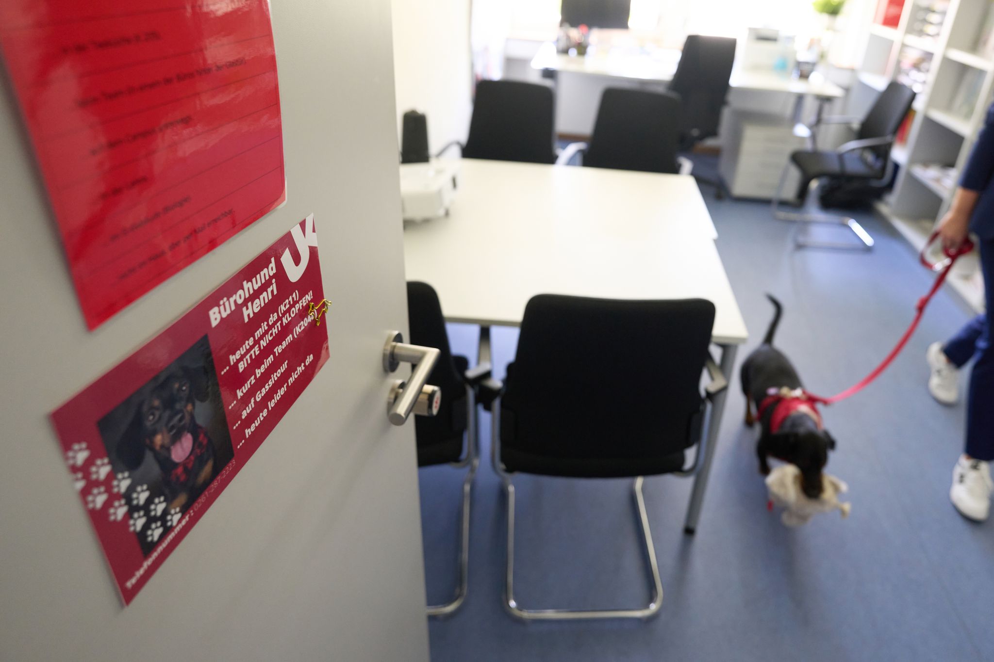 Jeder Hund hat sein eigenes Türschild.