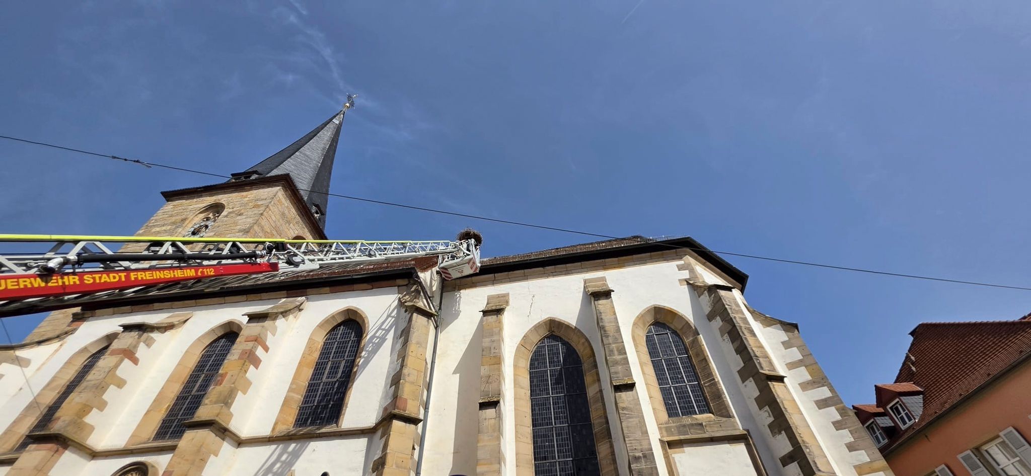 Mit der Drehleiter rückte die Freiwillige Feuerwehr Freinsheim am Pfingstsonntag an, um ein Storchenküken aus der Dachrinne der protestantischen Kirche zu retten. 