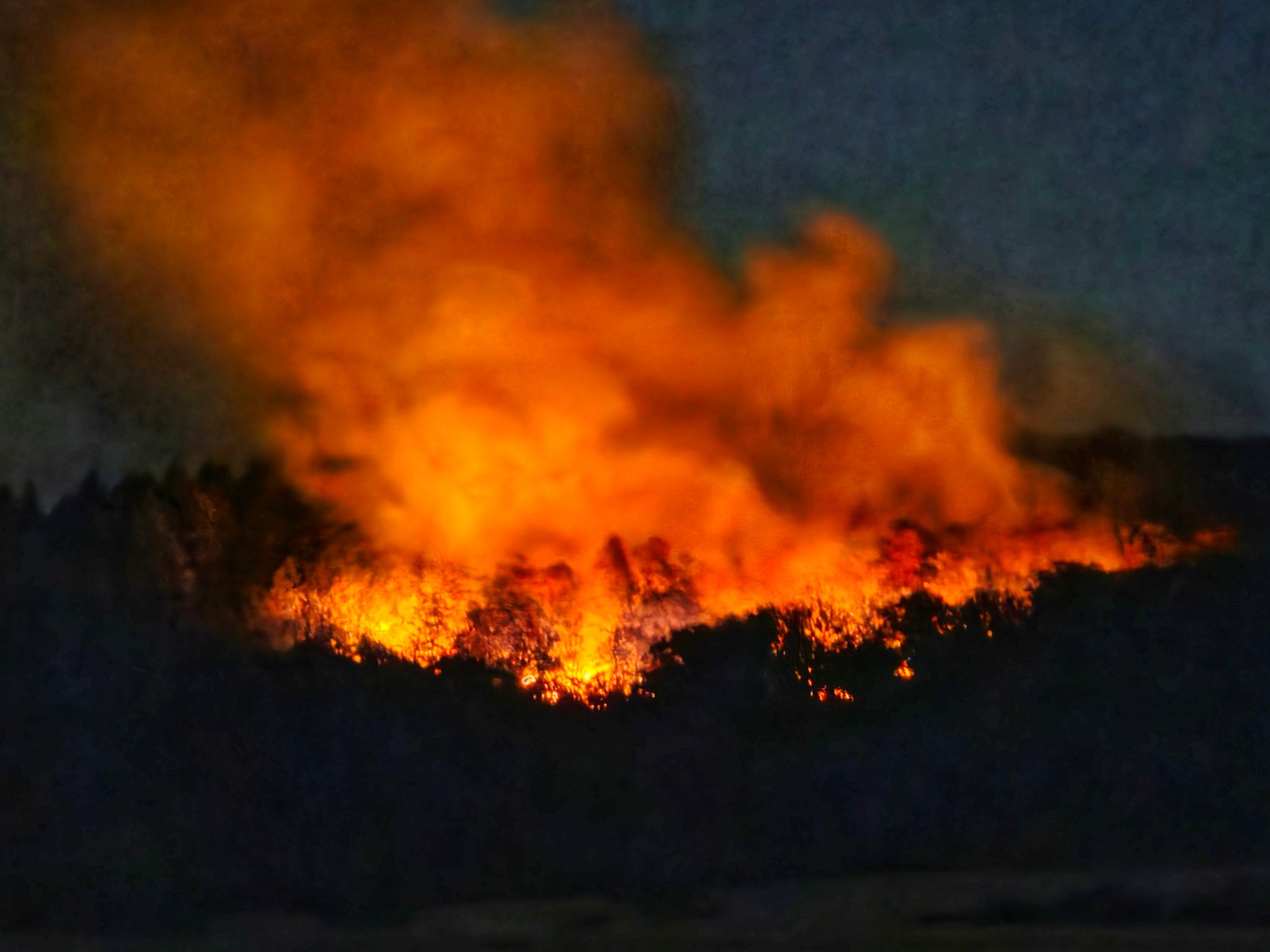 In und um Traisen läuft ein großer Feuerwehreinsatz.