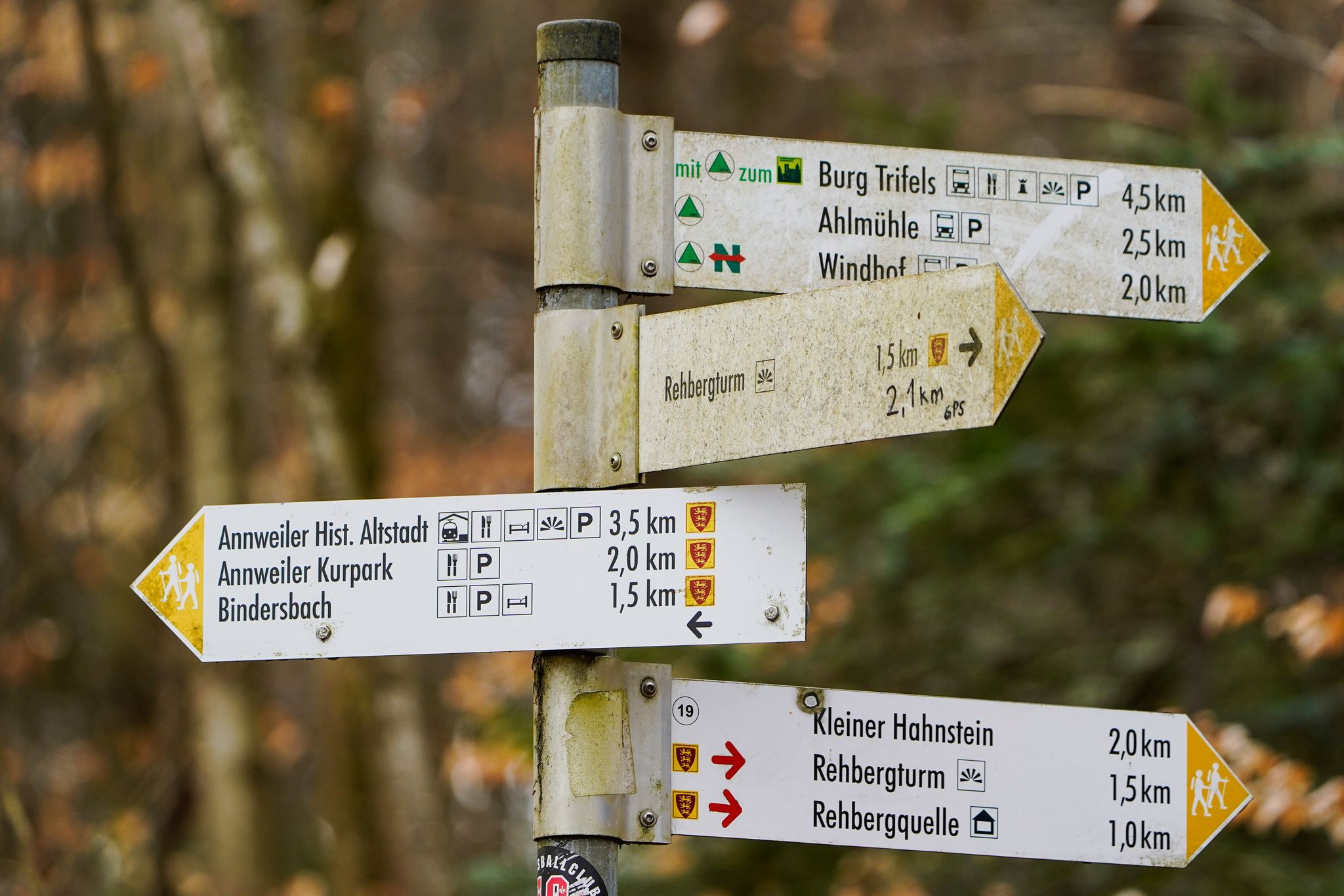 Zahlreiche Wanderwege führen im Pfälzerwald durch schattige Täler und vorbei an Burgruinen. (Archivbild)