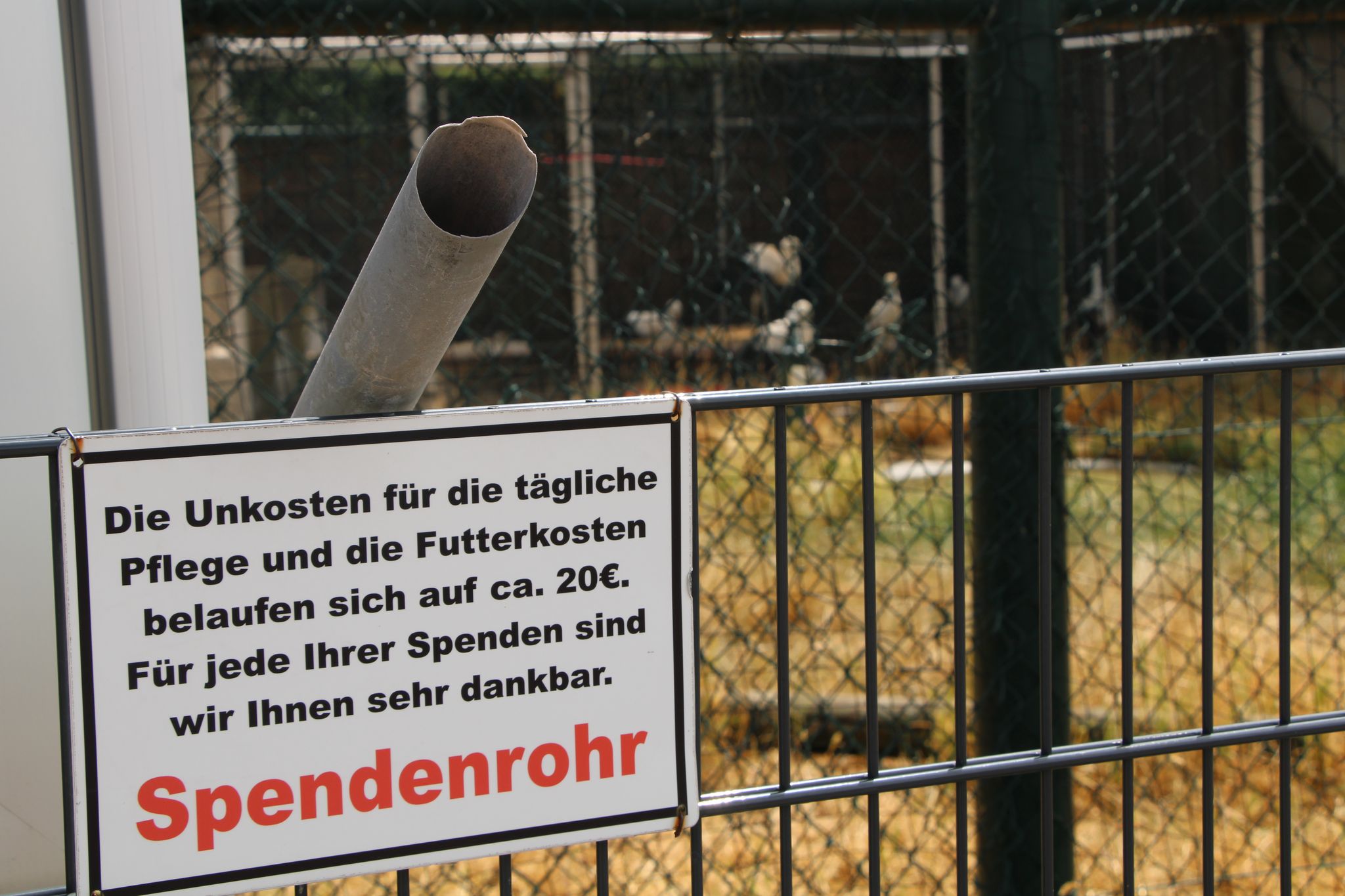Vom Bürgersteig aus können Spaziergänger Geld in das «Spendenrohr» werfen, um die «Storchenscheune» zu unterstützen, die sich um kranke und noch nicht flugfähige Störche kümmert.
