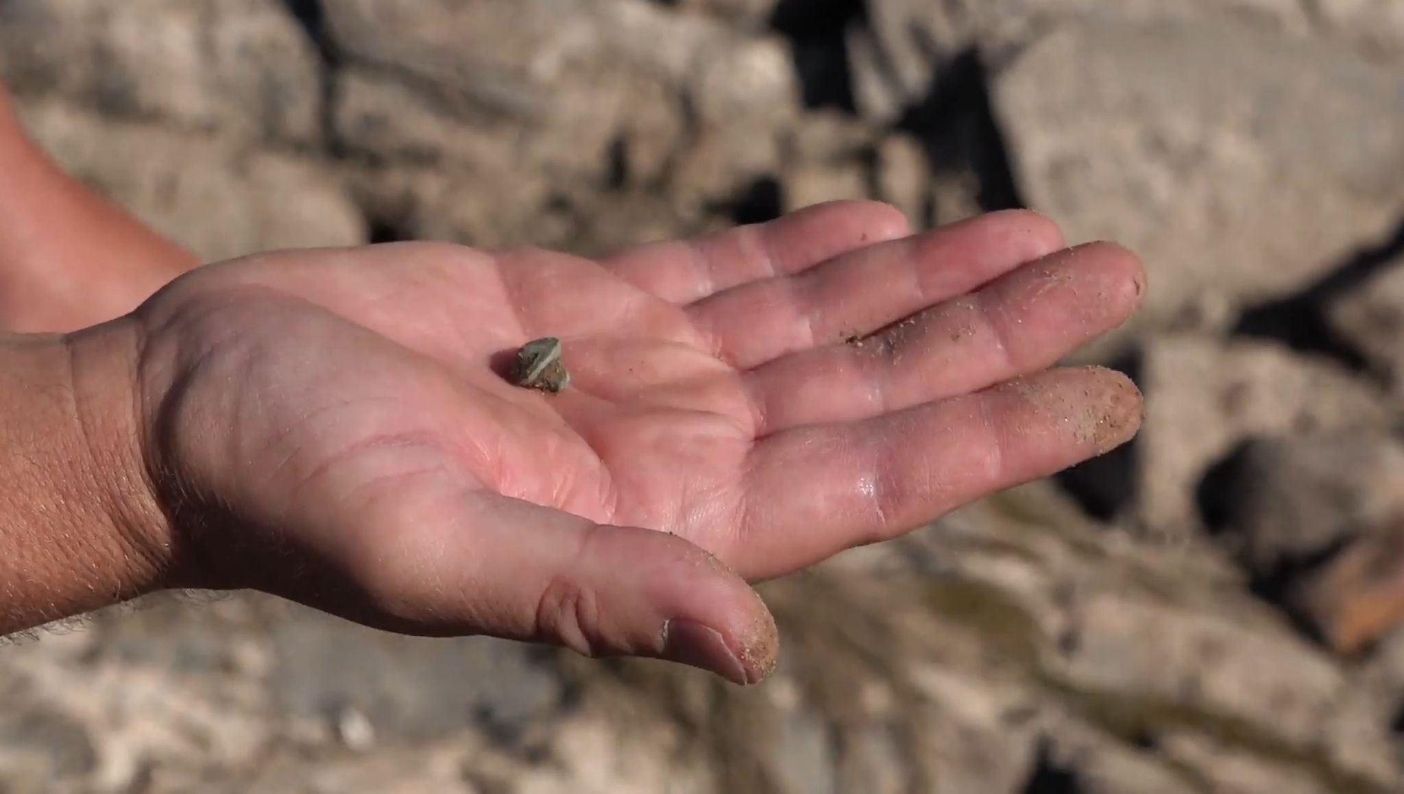 Das Niedrigwasser im Rhein ermöglicht archäologische Funde. 