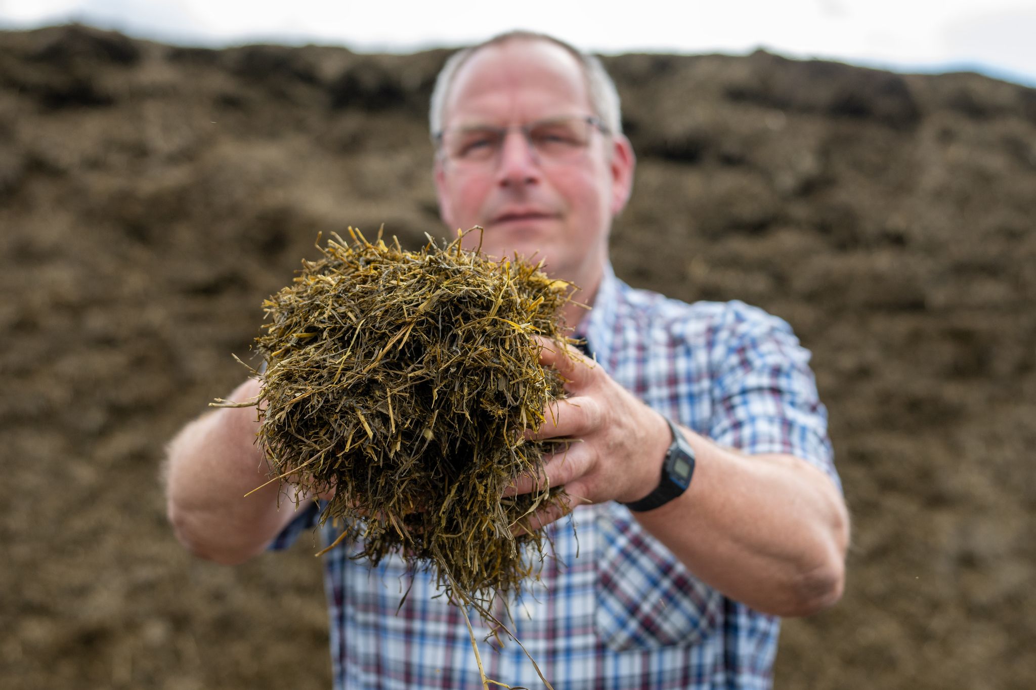 Grassilage ist bei Fiedlers Betrieb der Hauptbestandteil des Futters (Archivbild)