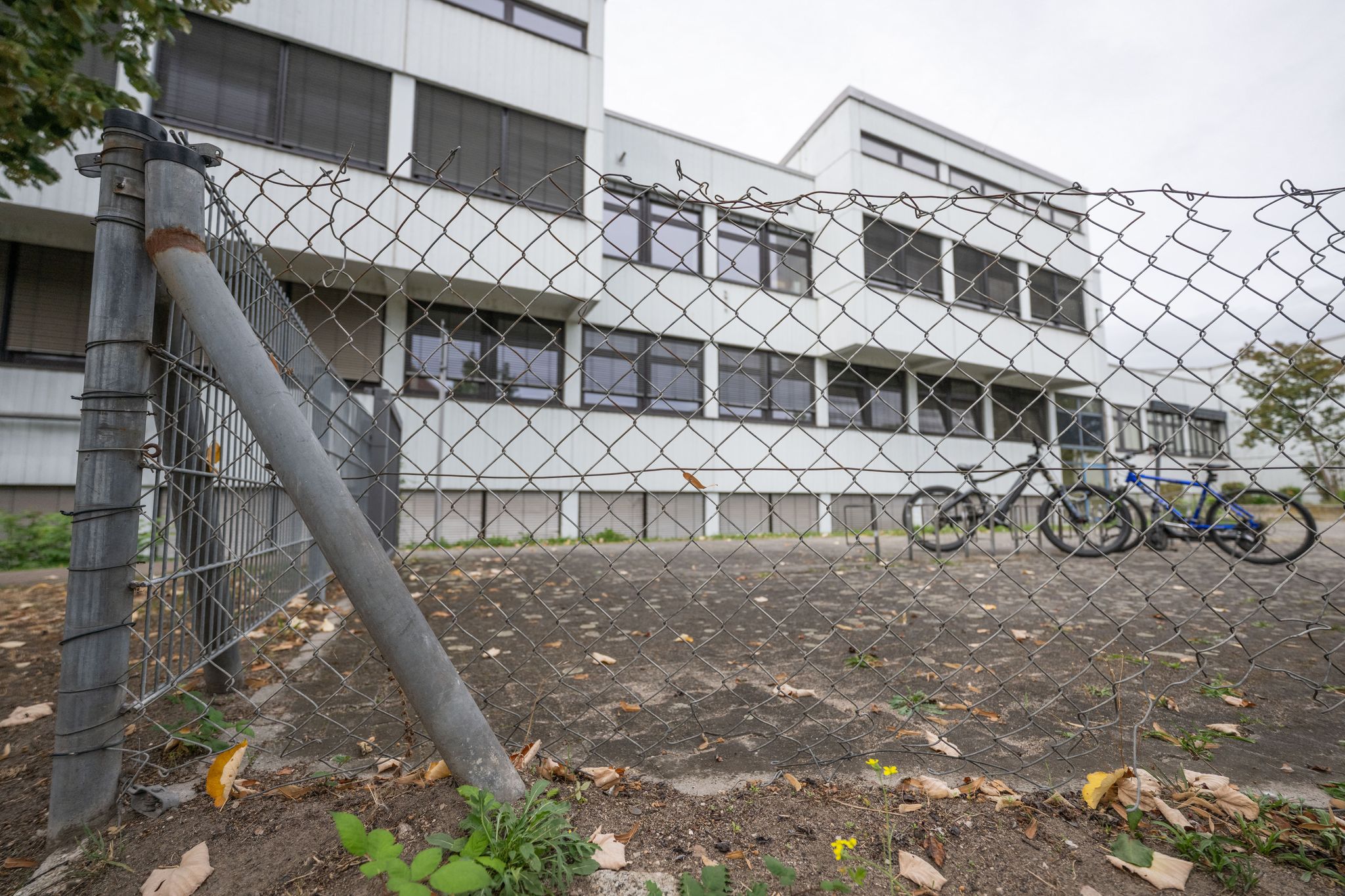 Das Kollegium der Realschule plus ist tief zerstritten.