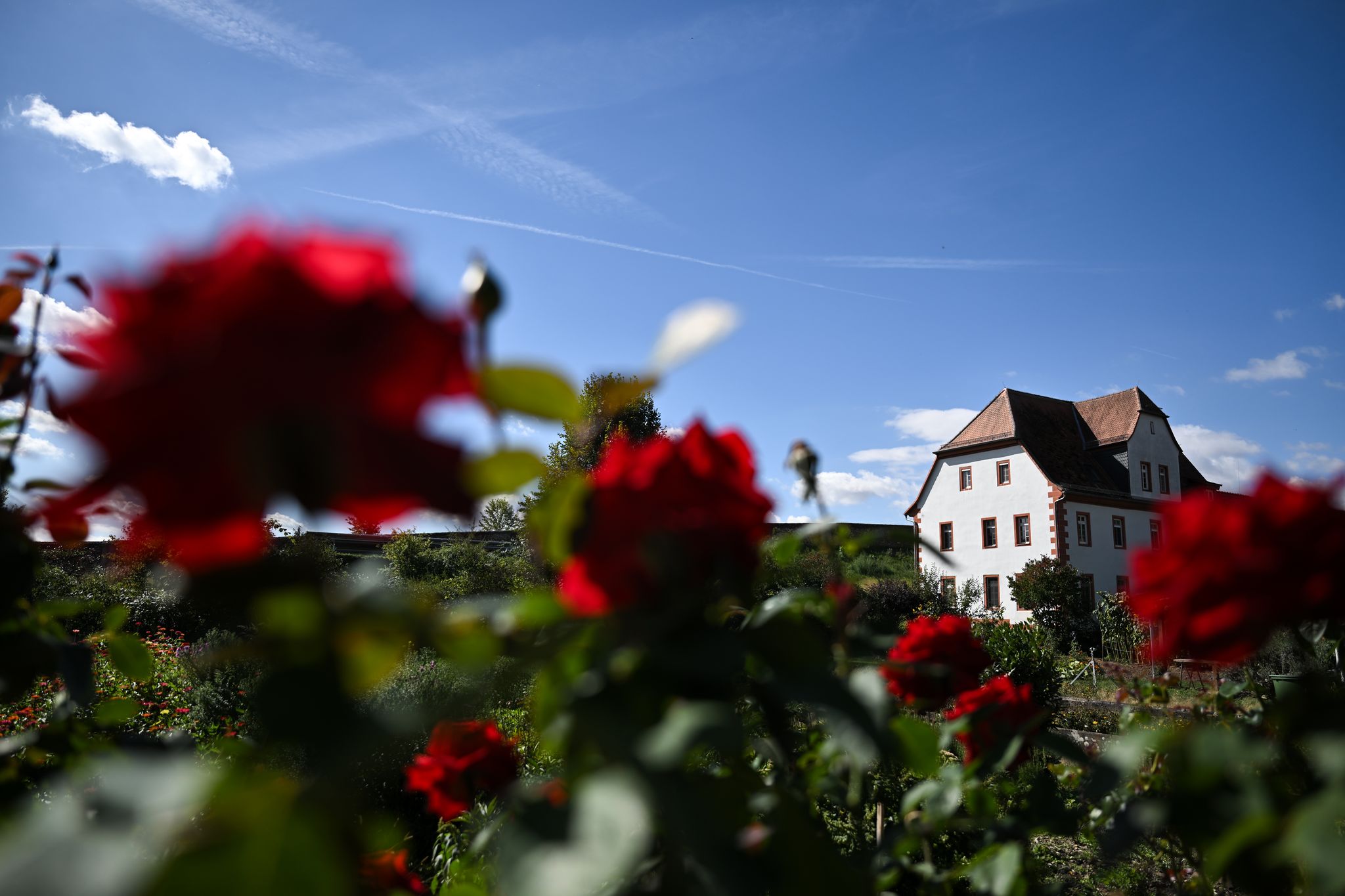 Auch ein weitläufiger Garten, der von den Benediktinerinnen jahrzehntelang liebevoll gepflegt wurde, gehört zu Kloster Engelthal.