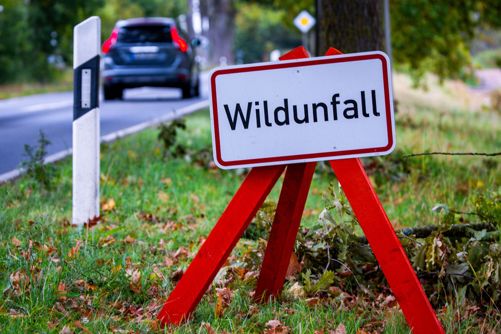 Nach einem Wildunfall muss die Polizei verständigt werden. (Symbolbild)