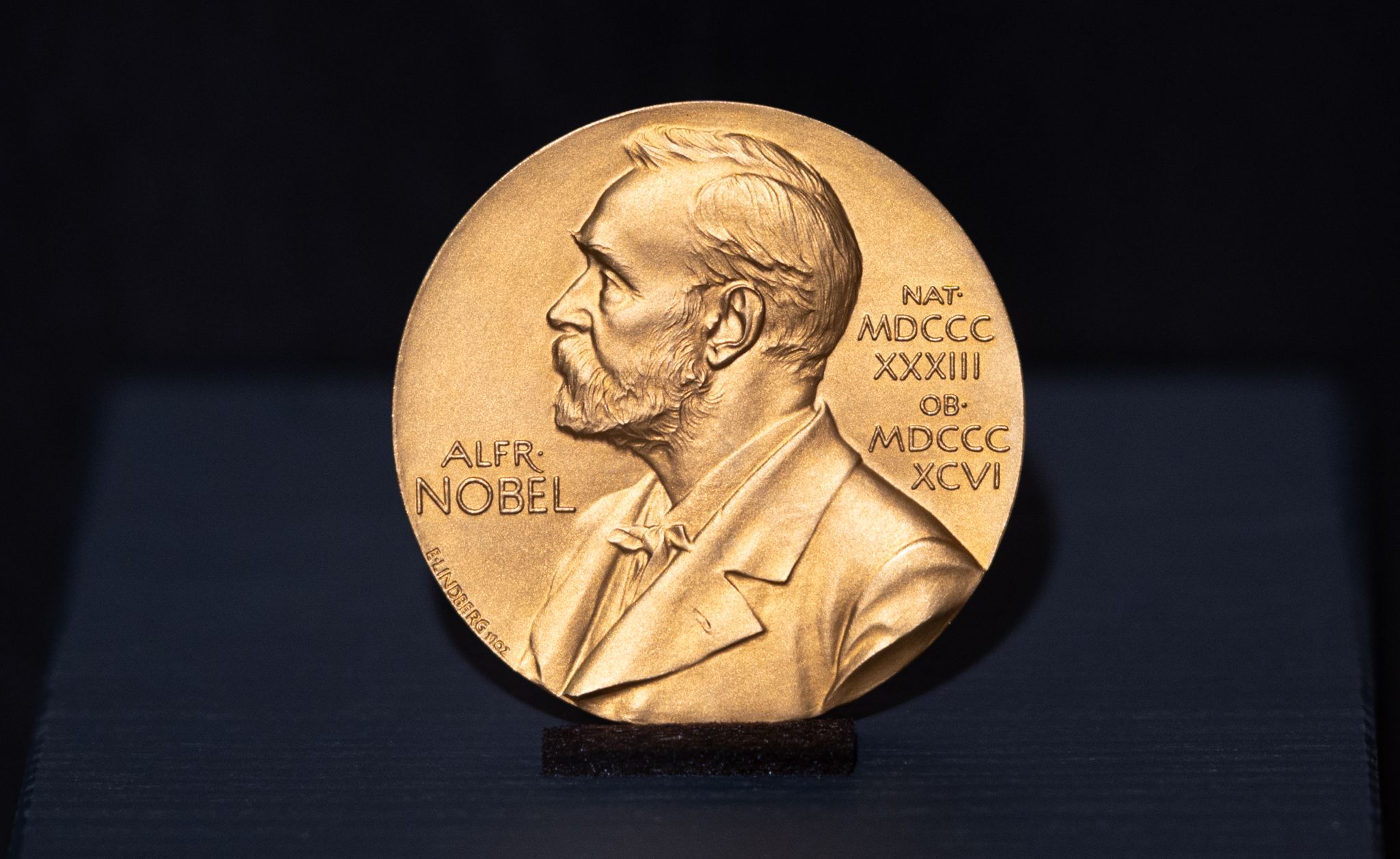 Die Nobelpreise gehören zu den wichtigsten Auszeichnungen der Welt. (Symbolbild)