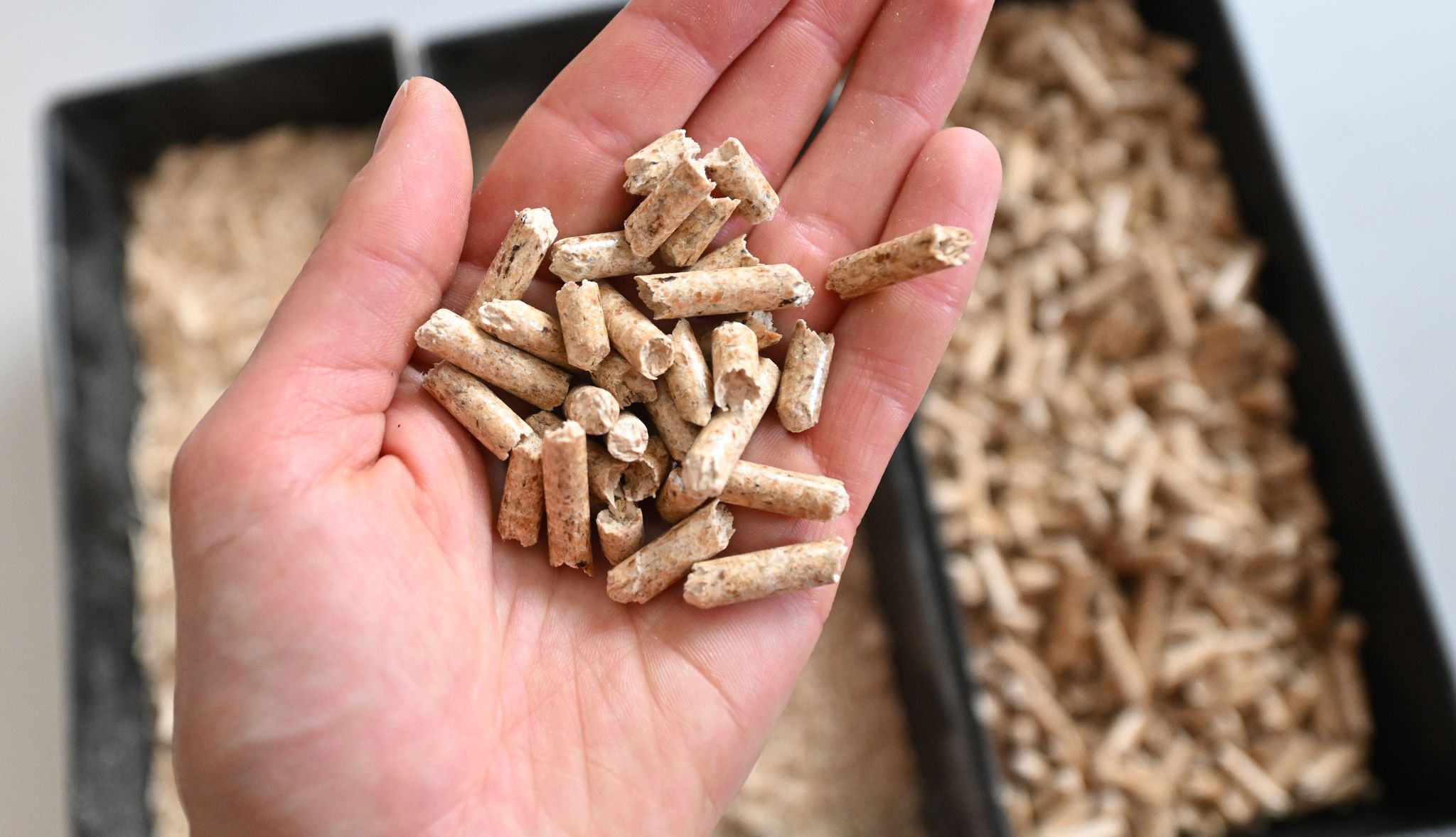 Die Preisentwicklung bei Holzpellets ist regional ganz unterschiedlich. (Symbolbild)